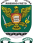Brasao_Medicina_vetorizado